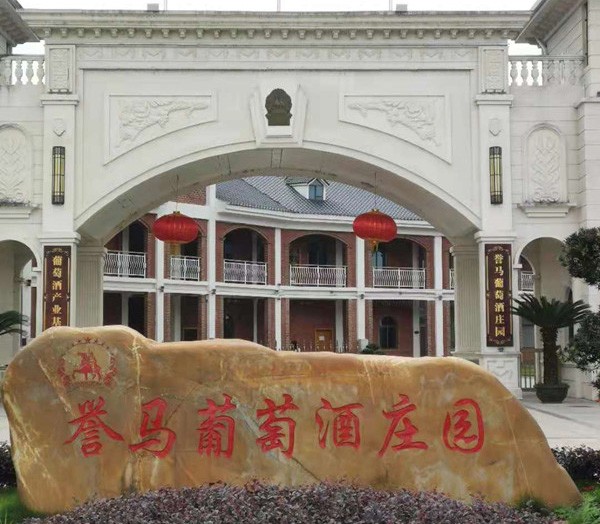 1625302911110783.jpg 01.jpg